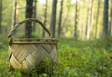 Mantar ve çilek toplamak için Sepet.