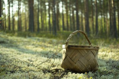 Mantar ve çilek toplamak için Sepet.