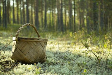 Mantar ve çilek toplamak için Sepet.