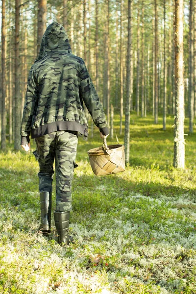 Çam ormanında sepetli mantar toplayıcısı.