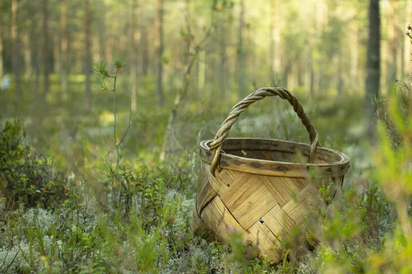 Mantar ve çilek toplamak için Sepet.
