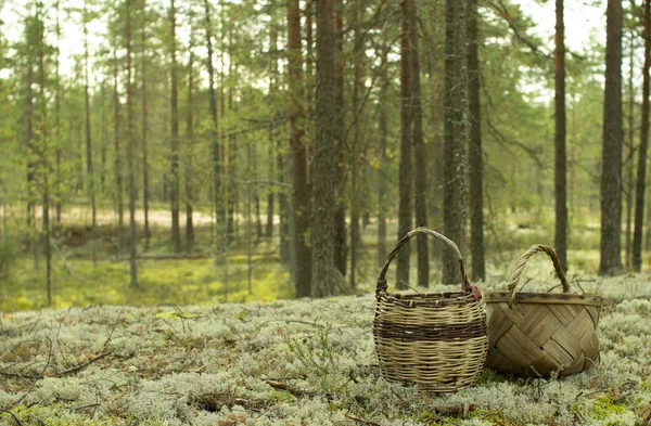 Mantar ve çilek toplamak için Sepet.