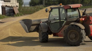Traktör tahılı taşır. Tahıl sevkiyatı için mekanik ekipmanlı granary. Tarım çiftliği