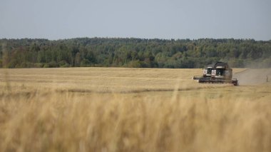 Buğday tarlasında çalışan hasatçıyı birleştirin..