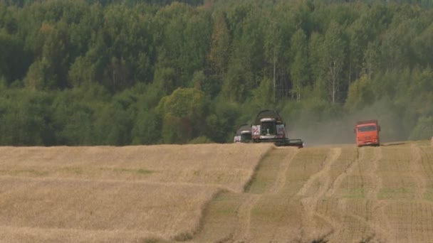 Комбайны, работающие на пшеничном поле. — стоковое видео