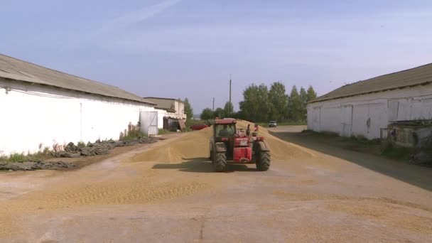 Kharovsk. Rosja-wrzesień 2018: ciągnik transportuje ziarna. Spichlerz z wyposażeniem mechanicznym do wysyłki ziarna. — Wideo stockowe