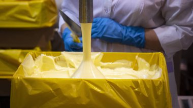 Tereyağı üretimi. Süt bazlı krema ürünleri