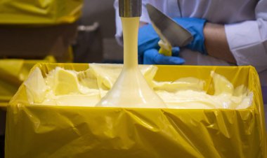 Tereyağı üretimi. Süt bazlı krema ürünleri