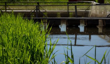 Göletteki balık çiftliği. Açık havada su kültürü..