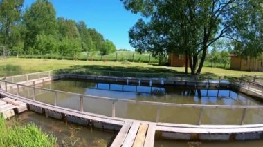 Göletteki balık çiftliği. Açık havada su kültürü var. Sazan üretimi