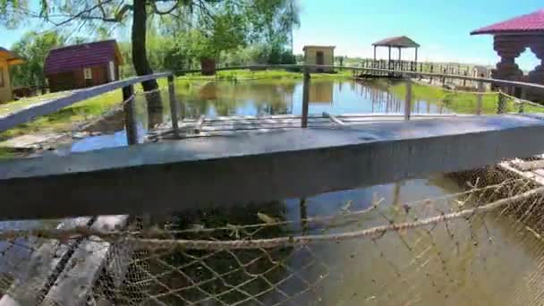 Ferme piscicole dans l'étang. Aquaculture en plein air. élevage de carpes