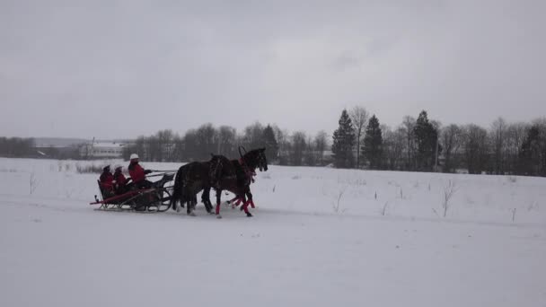 Racing in winter at a trot on the racetrack on a cold winter day. — Stock Video