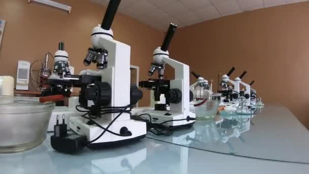 Mikroskop i det molekylära laboratoriet. — Stockvideo