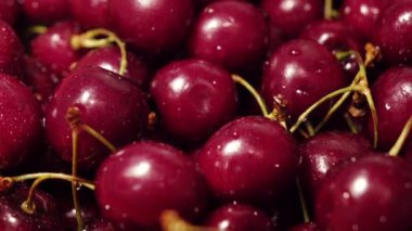 Yavaş çekim kamera güzel bir kiraz ağacı boyunca su akıntısının altında hareket eder..