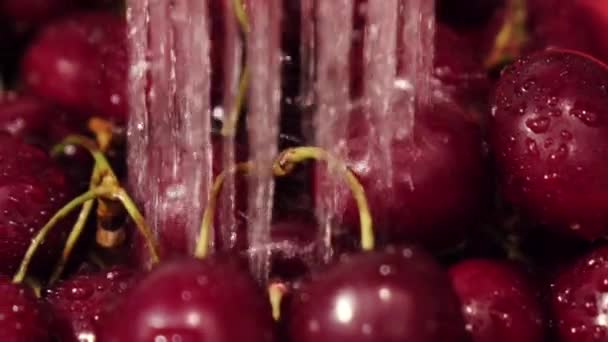 Камера медленного движения движется вдоль красивого вишневого дерева под потоком воды. — стоковое видео
