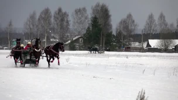 Versenyzés télen egy ügetés a versenypályán egy hideg téli napon. — Stock videók