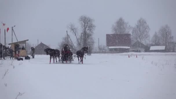 Carreras en invierno en un trote en el hipódromo en un frío día de invierno. — Vídeos de Stock