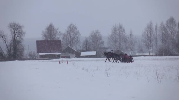 Racing på vintern på en trav på banan på en kall vinterdag. — Stockvideo