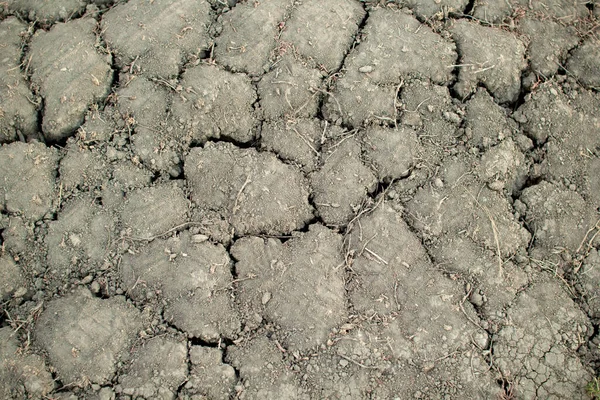 Terra morta seca e sem água com rachaduras. Terra pós-apocalíptica após um desastre ambiental. — Fotografia de Stock