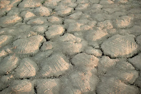 Terra morta seca e sem água com rachaduras. Terra pós-apocalíptica após um desastre ambiental. — Fotografia de Stock
