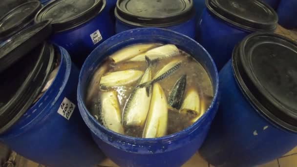 Hareng en fûts, à l'échelle industrielle.Fûts bleus avec délicieux hareng salé à l'usine de poisson — Video