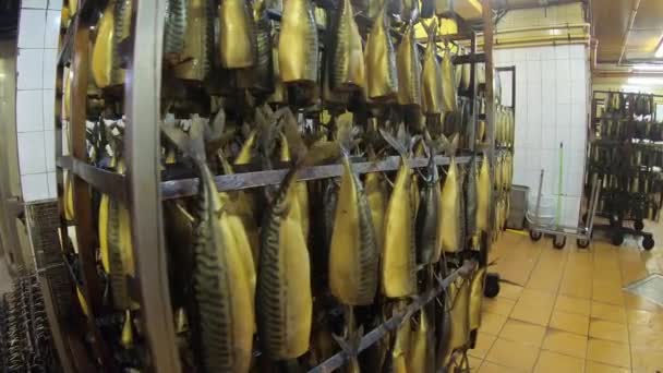 Pesci di mare appesi ad ami nel negozio per la produzione di prodotti ittici. — Video Stock