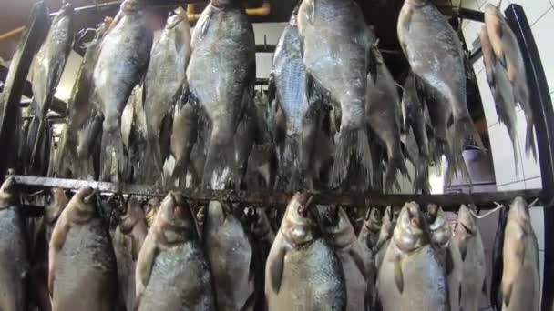 Ryby morskie wiszące na hakach w sklepie do produkcji produktów rybnych. — Wideo stockowe