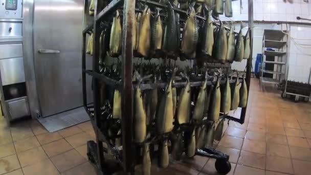 Pesci di mare appesi ad ami nel negozio per la produzione di prodotti ittici. — Video Stock