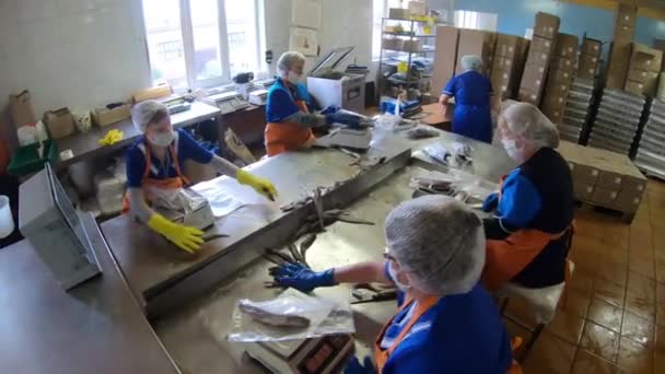 Μόσχα. Ρωσία - Σεπτέμβριος 2020: κατάστημα για την παραγωγή κονσερβοποιημένων ψαριών. Οι γυναίκες δουλεύουν στο να κόβουν ψάρια και να τα συσκευάζουν σε κονσέρβες προς πώληση.. — Αρχείο Βίντεο