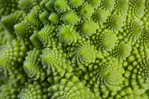 Romanesco broccoli cabbage marco. Nature fractal surface with spital pattern, close-up shot, selective focus.