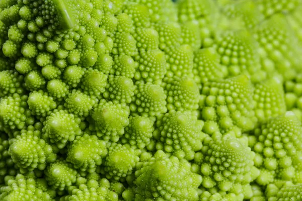 Fundos Texturas Abstrato Fundo Natural Verde Brócolis Romanesco Close Shot — Fotografia de Stock