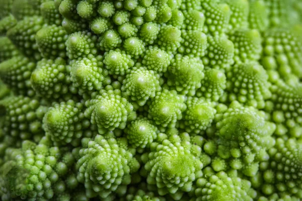 Romanesco Brócoli Repollo Marco Fondo Superficie Fractal Natural Con Patrón —  Fotos de Stock