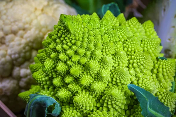 Romanesco Parsakaali Lähikuva Fraktaalinen Kasvi Tunnetaan Sen Yhteydestä Fibonacci Sekvenssiin — kuvapankkivalokuva