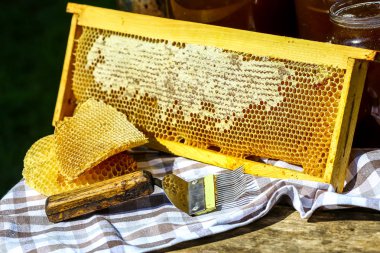 Ahşap çerçeveli ahşap bal kovanı ve bal petekleri balmumuyla mühürlenmiş bal hücreleri, ahşap masada arıcılık için aletler. Arıcılık konsepti.