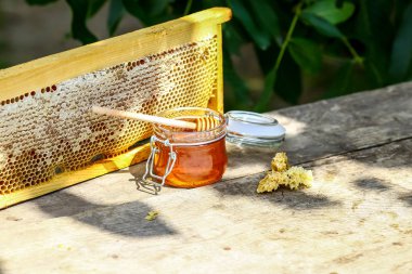 Cam kasede bal, ahşap bal kovanı, ahşap çerçevede bal petekleri balmumuyla kapatılmış bal hücreleri, açık havada fotokopi alanı.