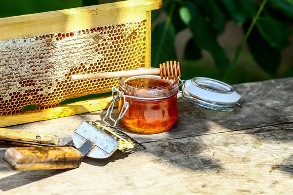 Jar of fresh honey with assorted tools for beekeeping, a wooden dispenser and tray of honeycomb from a bee hive in a still life on a wooden table outdoors with copy space.