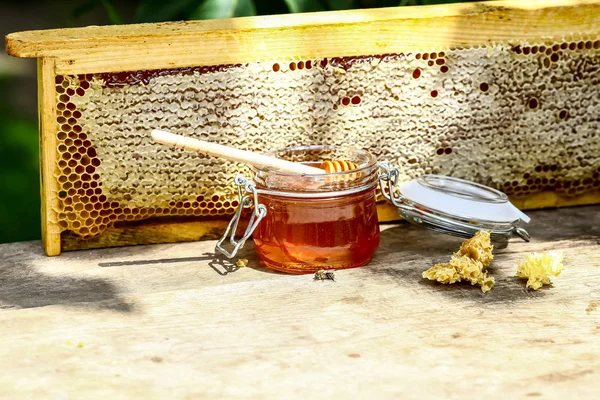 Glas Mit Frischem Honig Mit Bienenwaben Aus Einem Bienenstock Einem — Stockfoto