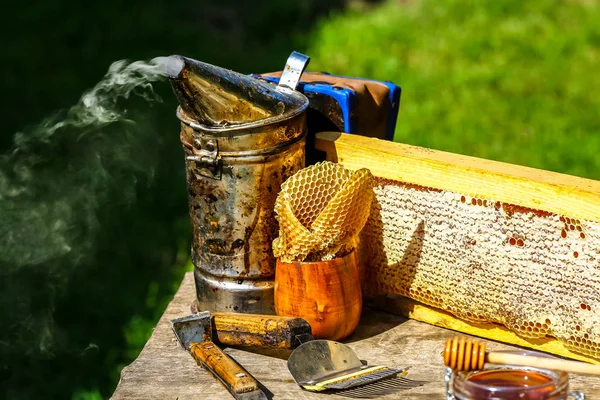 wooden frame with full cells of honey sealed with wax, tools for beekeeping outdoors with copy space.