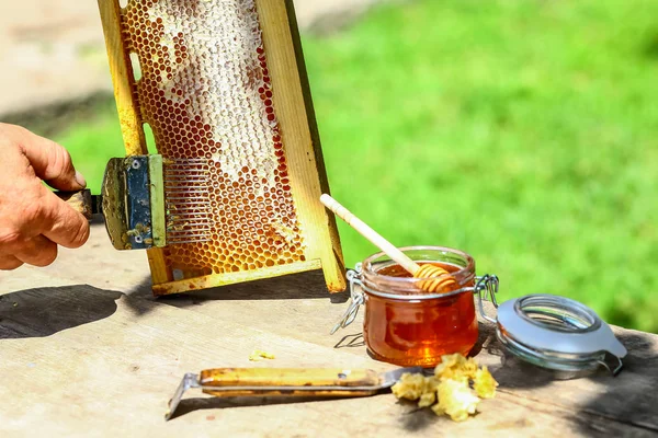 Пчеловод Крупным Планом Расстегивает Медовые Соты Специальной Вилочкой Пчеловодства Сырой — стоковое фото