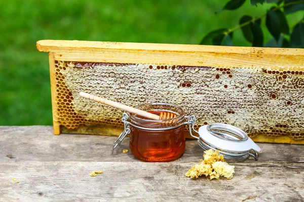 Jar of fresh honey with assorted tools for beekeeping, a wooden dispenser and tray of honeycomb from a bee hive in a still life on a wooden table outdoors with copy space.