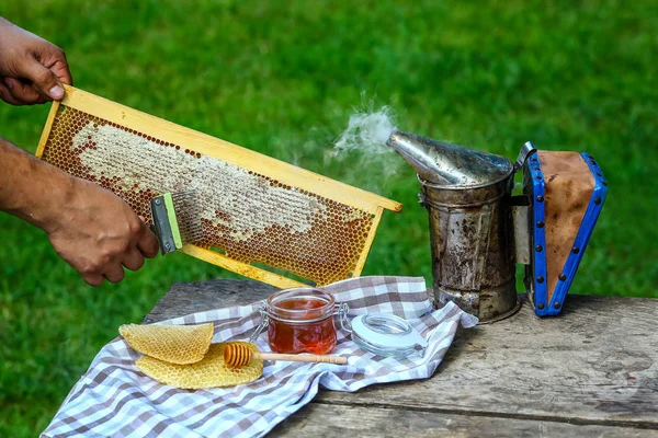 Arı yetiştiricisi özel bir arıcılık çatalıyla bal peteğini açıyor. Çiğ bal arı kovanlarından toplanıyor. Arıcılık konsepti.