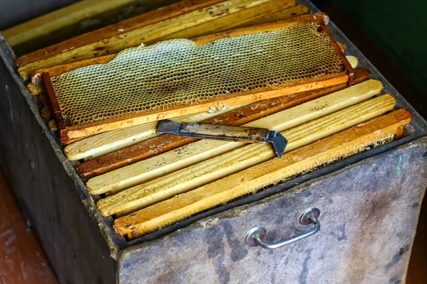 Beekeeper working tools on the hive. beekeeping equipment on the old wooden table.