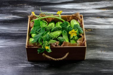 Karanlıkta izole edilmiş ahşap kutuda taze salatalıklar. Üst Manzara. Boşluğu kopyala.