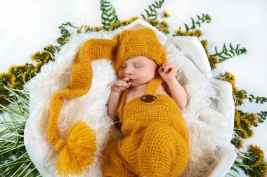 Sarı karahindiba çiçekleri ve yeşil yapraklı sepetin içinde uyuyan yeni doğmuş bebek sarı bir elbise içinde, yazı için yer, üst manzara, set.