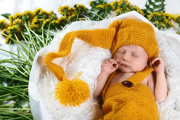 Bebê Recém Nascido Adormecido Uma Cesta Com Flores Dente Leão — Fotografia de Stock