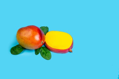 Mango mavi arka planda izole edilmiş. Üst Manzara. Boşluğu kopyala.