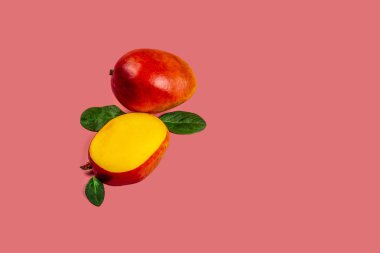 Mango pembe arka planda izole edilmiş. Üst Manzara. Boşluğu kopyala.