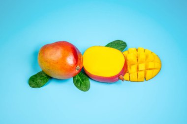 Lezzetli olgun mangolar mavi arka planda izole edilmiş. Üst Manzara. Boşluğu kopyala.
