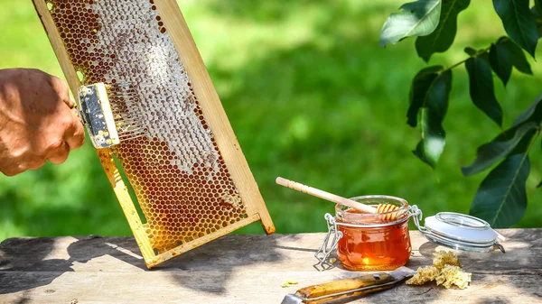 Nahaufnahme Imker entdeckelt Bienenwaben mit spezieller Imkergabel. Roher Honig, der aus Bienenstöcken geerntet wird. Imkerkonzept — Stockfoto