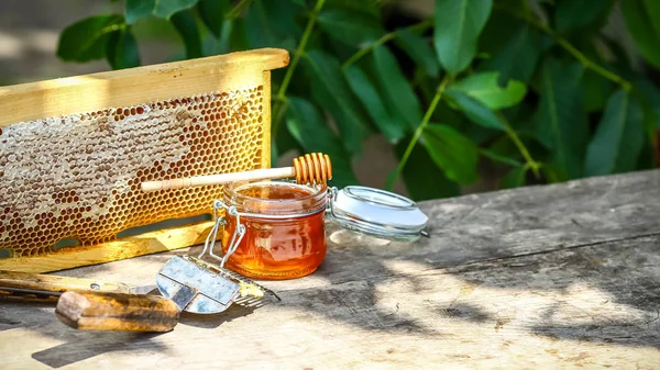 Пчеловод крупным планом расстегивает медовые соты специальной вилочкой для пчеловодства. Сырой мед собирают из пчелиных ульев. Концепция пчеловодства — стоковое фото